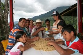 Producción del café: 4 historias detrás de tu taza de café