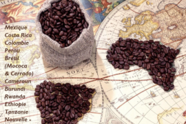 Importar café – 6 pasos para emprender tu negocio de importación